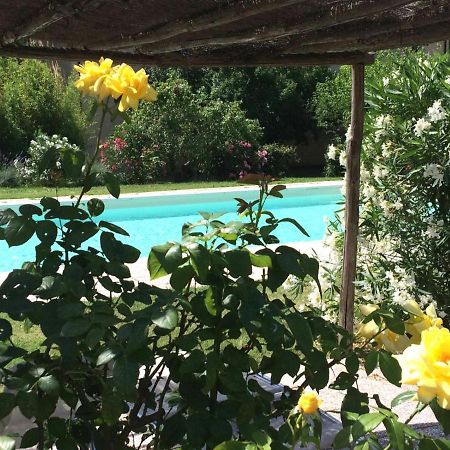 גרוסטו Agriturismo Lupo Vecchio מראה חיצוני תמונה
