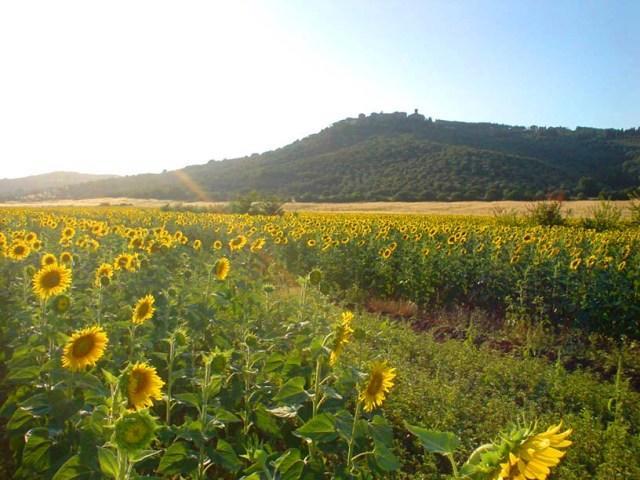 גרוסטו Agriturismo Lupo Vecchio מראה חיצוני תמונה