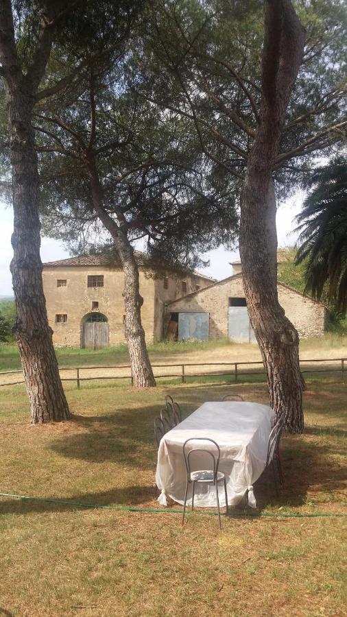גרוסטו Agriturismo Lupo Vecchio מראה חיצוני תמונה